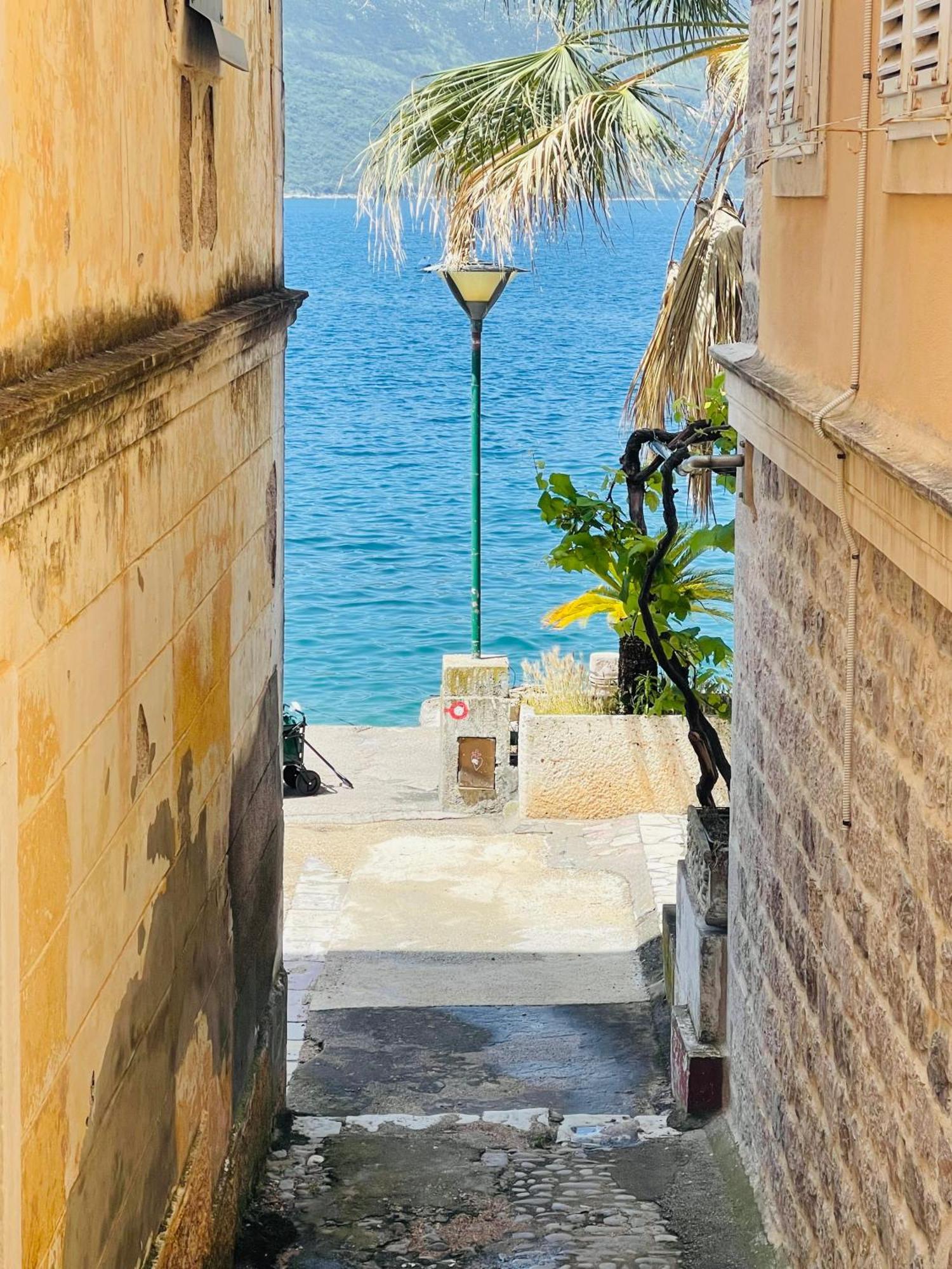 Hearth Of Rose Apartment Herceg Novi Exterior photo